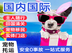 喀什空运国际宠物托运 【国